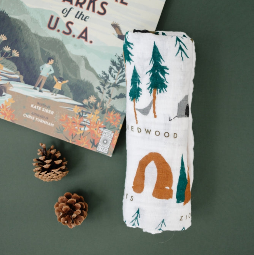NIB Clementine Kids Swaddle National Parks